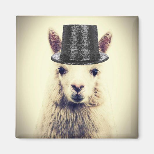 Aimant Alpaca dans un Tophat (Devant)