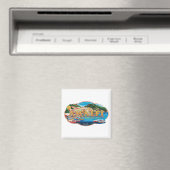 Aimant Amalfi 4 (In Situ (Lave-vaisselle))
