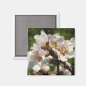 Aimant Amande Bloosom (Recto/Verso)