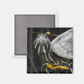 Aimant Amande de tortue (Recto/Verso)
