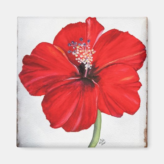 Aimant Amande d'hibiscus rouge (Devant)