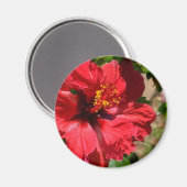 Aimant Amande d'hibiscus rouge (Recto/Verso)