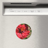 Aimant Amande d'hibiscus rouge (In Situ (Lave-vaisselle))