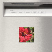 Aimant Amande d'hibiscus rouge (In Situ (Lave-vaisselle))