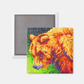 Aimant Amande d'ours jaune (Recto/Verso)
