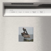 Aimant Amande pélicane (In Situ (Lave-vaisselle))