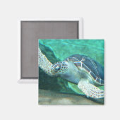 Aimant Amande verte à tortue de mer (Recto/Verso)