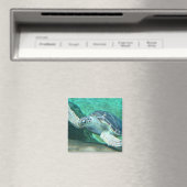 Aimant Amande verte à tortue de mer (In Situ (Lave-vaisselle))