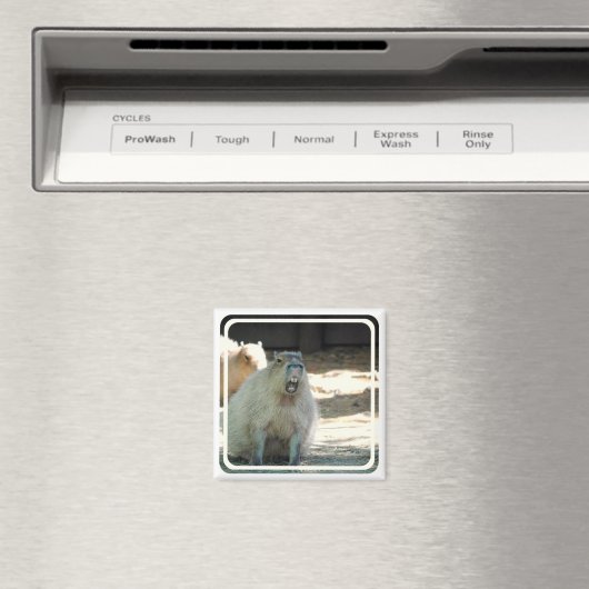 Aimant Amant Funny Capybara (In Situ (Lave-vaisselle))