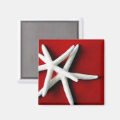 Aimant Amante à poisson étoile (Recto/Verso)