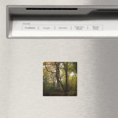 Aimant Amante de bois d'automne (In Situ (Lave-vaisselle))