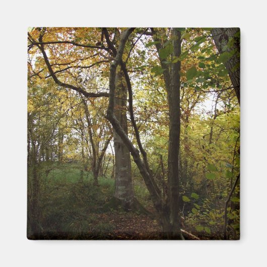 Aimant Amante de bois d'automne (Devant)