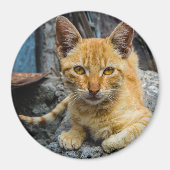 Aimant Amante d'or (Devant)