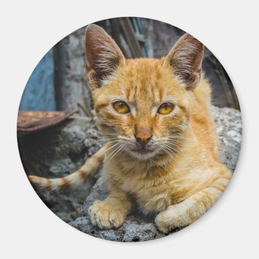 Aimant Amante d'or (Devant)