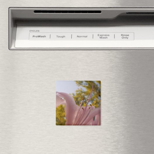 Aimant Amante Lily (In Situ (Lave-vaisselle))