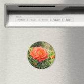 Aimant Amante rouge (In Situ (Lave-vaisselle))