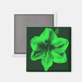Aimant Amaryllis vert (Recto/Verso)