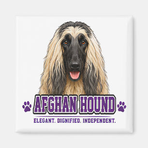 Aimant 🐾 Amateur de Lévrier Afghan 🐾