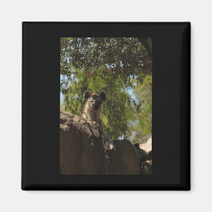 Aimant Amateurs de la nature Hyena Valence Stic vertical