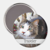 Aimant Amateurs de marionnettes de chat adorent créer vot (Recto/Verso)