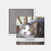 Aimant Amateurs de marionnettes de chat adorent créer vot (Recto/Verso)