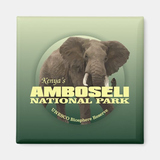 Aimant Amboseli NP (Eléphant africain) WT (Devant)