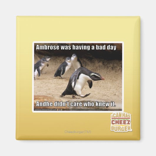 Aimant Ambrose passait une mauvaise journée (Devant)