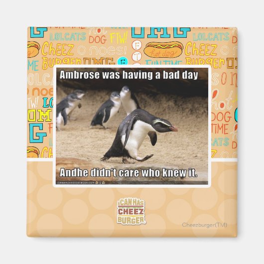 Aimant Ambrose passait une mauvaise journée (Devant)