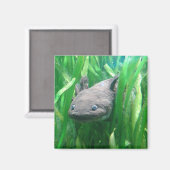 Aimant Ambystoma andersoni (Recto/Verso)