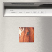 Aimant Âme - Cheval (In Situ (Lave-vaisselle))