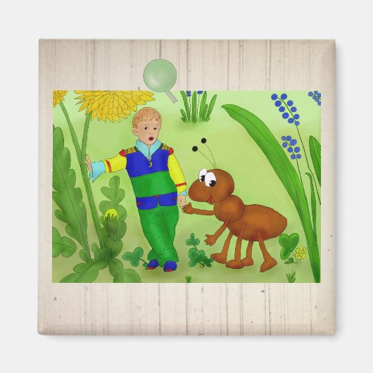 Aimant Ameisenkönig (Devant)