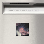 Aimant America Patriotic 351 (In Situ (Lave-vaisselle))
