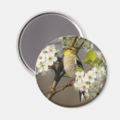 Aimant Américain Goldfinch (Recto/Verso)