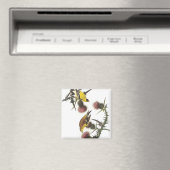 Aimant Américain Goldfinch (In Situ (Lave-vaisselle))