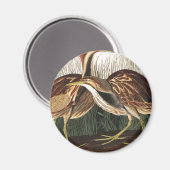 Aimant American Bittern par John James Audubon (Recto/Verso)