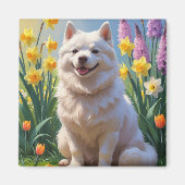 Aimant American Eskimo Chien Fleurs de printemps Peinture (Devant)