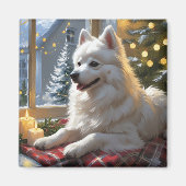 Aimant American Eskimo With Christmas Lights Holiday (Devant)