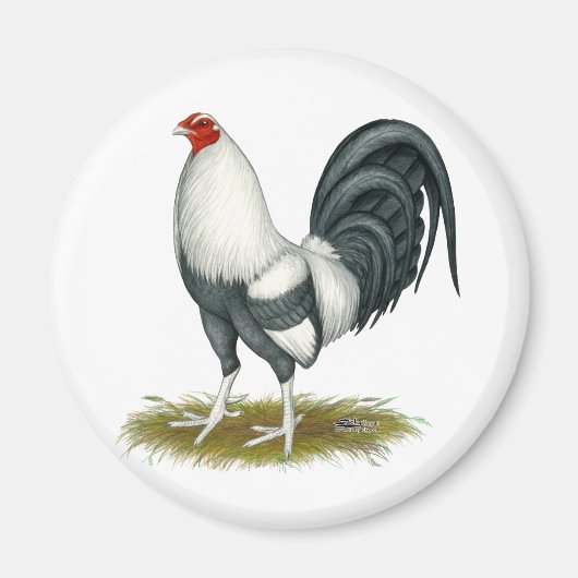 Aimant American Game Silver Blue Gamecock (Devant)