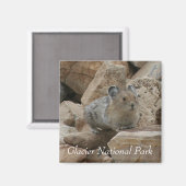 Aimant American Pika, Parc national des Glaciers (Recto/Verso)