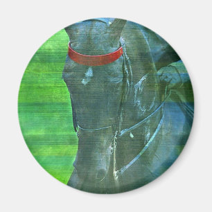 Aimant American Saddlebred