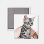 Aimant American Shorthair 2 (Recto/Verso)