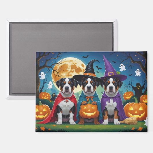 Aimant American Staffordshire Chien Citrouille Halloween  (Recto/Verso)