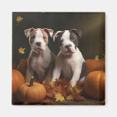 Aimant American Staffordshire Puppy Automne Délice (Devant)
