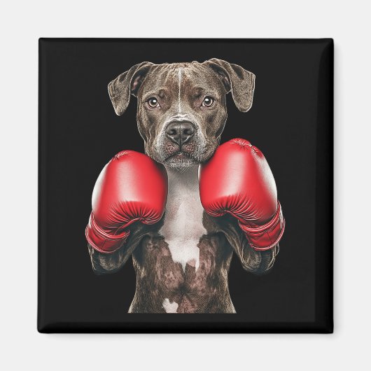 Aimant American Staffordshire Terrier Boxe (Devant)