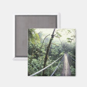 Aimant Amérique centrale, Costa Rica, Monteverde Cloud (Recto/Verso)