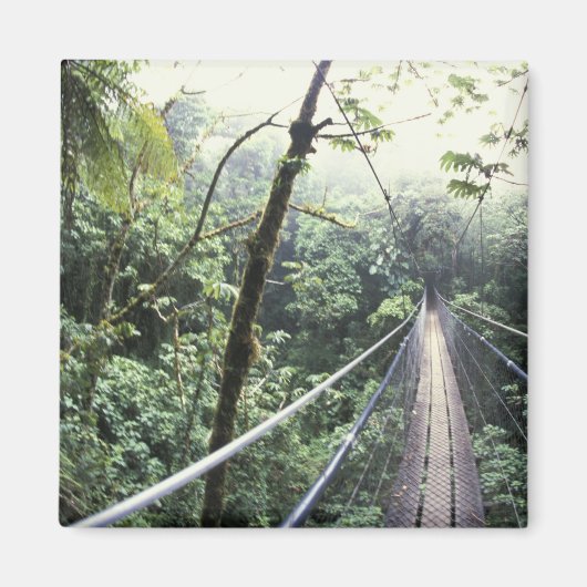 Aimant Amérique centrale, Costa Rica, Monteverde Cloud (Devant)