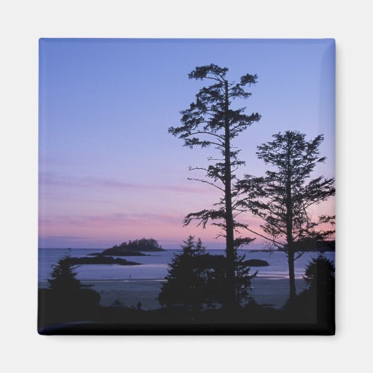 Aimant Amérique du Nord, Canada, île de Vancouver, arbres (Devant)