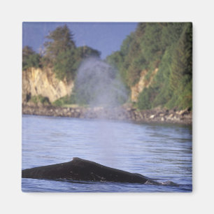 Aimant Amérique du Nord, États-Unis, Alaska, Passage inté