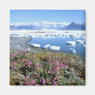 Aimant Amérique du Nord, États-Unis, Alaska, Prince Wil