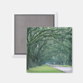 Aimant Amérique du Nord, États-Unis, Géorgie, Savannah, (Recto/Verso)